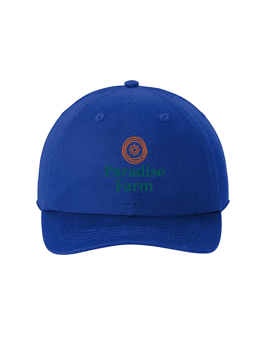 Port Authority Washed Twill Cap