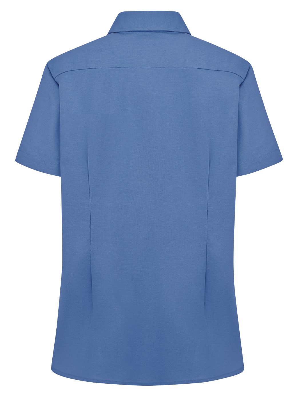 19a2fa0f6c8251c6df3a4299f9fef2308a5d4a24