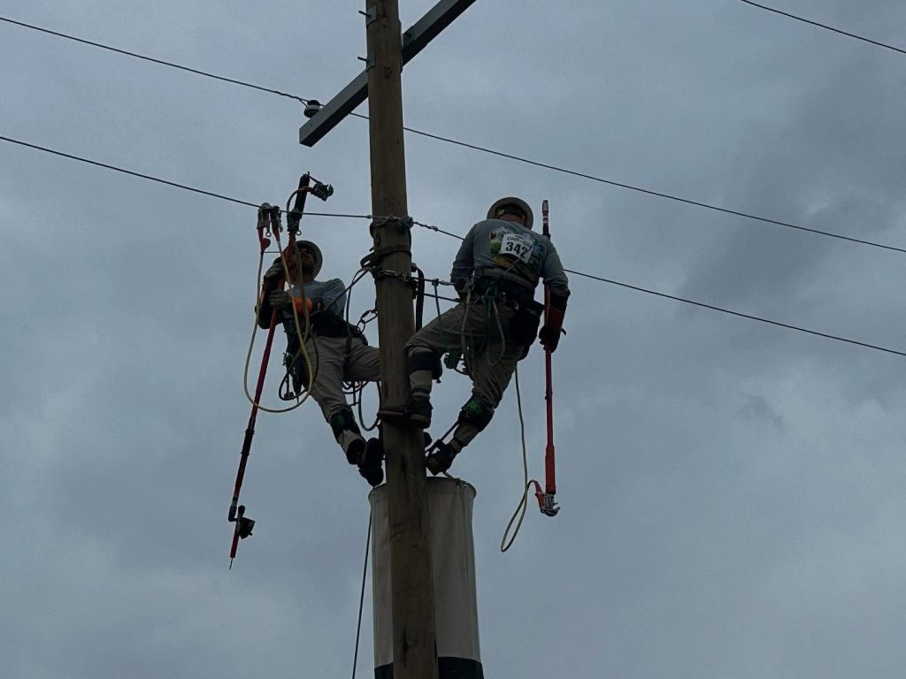 Utility linemen wearing flame-resistant clothing and safety harnesses climb a power pole to service overhead electrical lines.
